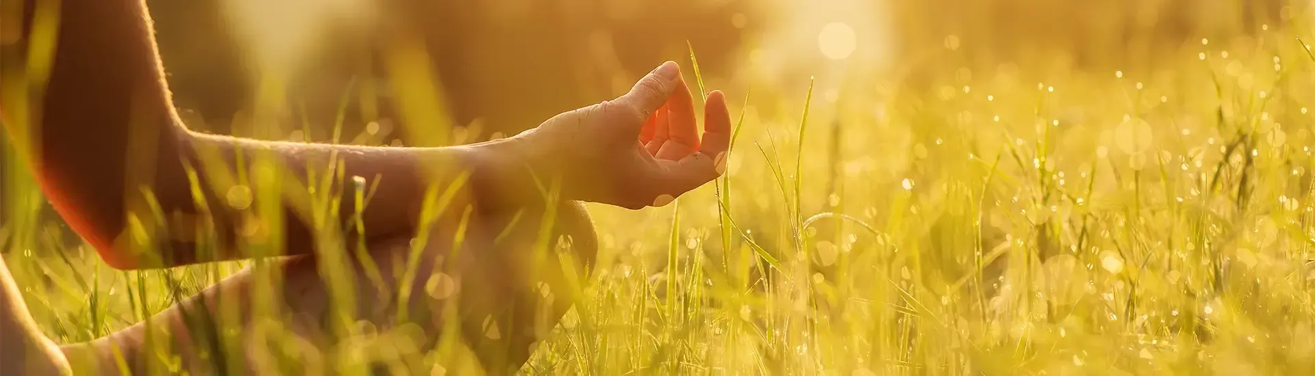 A person sitting cross-legged in a field of tall grass, holding their hand in a meditative mudra gesture at sunset.