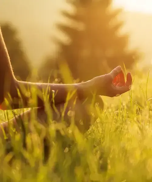 A person sitting cross-legged in a field of tall grass, holding their hand in a meditative mudra gesture at sunset.