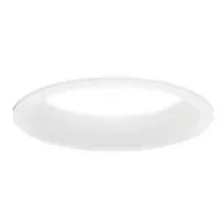 a white plate on a white background